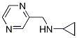 Cyclopropyl-pyrazin-2-ylMethyl-aMine Struktur