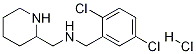 (2,5-Dichloro-benzyl)-piperidin-2-ylmethyl-amine hydrochloride Struktur