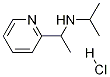 Isopropyl-(1-pyridin-2-yl-ethyl)-aMine hydrochloride Struktur