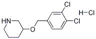 3-(3,4-Dichloro-benzyloxy)-piperidine hydrochloride Struktur