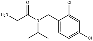 2-AMino-N-(2,4-dichloro-benzyl)-N-isopropyl-acetaMide Struktur