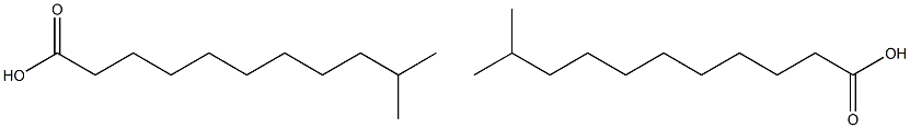 10-Methylhendecanoic acid (Isolauric acid) Struktur