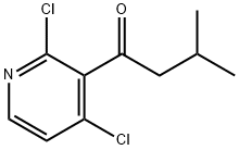 1-(2,4-dichloropyridin-3-yl)-3-Methylbutan-1-one Struktur