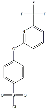 4-(6-TrifluoroMethyl-2-pyridyloxy)benzenesulfonyl chloride, 95% Struktur