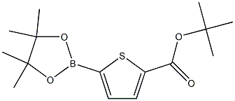 5-(4,4,5,5-TetraMethyl-[1,3,2]dioxaborolan-2-yl)-thiophene-2-carboxylic acid tert-butyl ester Struktur