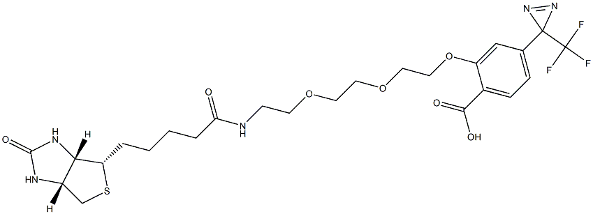 2-(2-(2-(2-(5-((3aS,4S,6aR)-2-oxohexahydro-1H-thieno[3,4-d]iMidazol-4-yl)pentanaMido)ethoxy)ethoxy)ethoxy)-4-(3-(trifluoroMethyl)-3H-diazirin-3-yl)benzoic acid Struktur