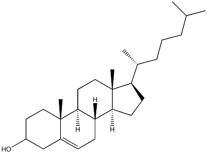 Cholesterol Assay Oxidase Struktur