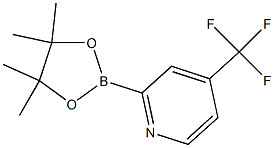 2-(4,4,5,5-TetraMethyl-[1,3,2]dioxaborolan-2-yl)-4-trifluoroMethyl-pyridine Struktur