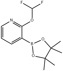 2-(difluoroMethoxy)-3-(4,4,5,5-tetraMethyl-1,3,2-dioxaborolan-2-yl)pyridine Struktur