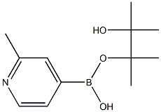 (2-Methylpyridine-4-yl)boronic acid pinacol ester Struktur