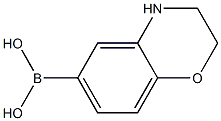 3,4-Dihydro-2H-1,4-benzoxazine-6-boronic acid Struktur