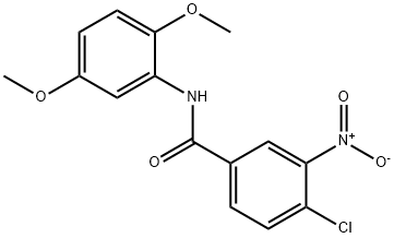 4-Chloro-N-(2,5-diMethoxyphenyl)-3-nitrobenzaMide, 97% Struktur