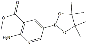 2-AMino-5-(4,4,5,5-tetraMethyl-[1,3,2]dioxaborolan-2-yl)-nicotinic acid Methyl ester Struktur