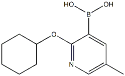 2-Cyclohexyloxy-5-methylpyridine-3-boronic acid Struktur