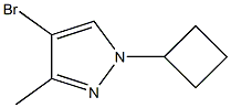 4-BroMo-1-cyclobutyl-3-Methyl-1H-pyrazole Struktur