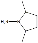 1-aMino-2,5-diMethylpyrrolidine Struktur