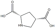 (2S,4S)-pyrrolidine-2,4-dicarboxylic acid Struktur