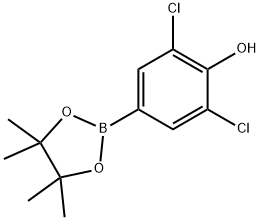 3,5-二氯-4-羥基苯硼酸頻哪醇酯, 1003298-87-0, 結(jié)構(gòu)式