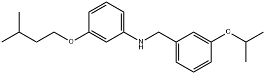 3-(Isopentyloxy)-N-(3-isopropoxybenzyl)aniline Struktur