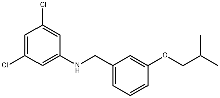 3,5-Dichloro-N-(3-isobutoxybenzyl)aniline Struktur