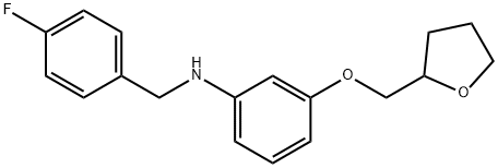 N-(4-Fluorobenzyl)-3-(tetrahydro-2-furanylmethoxy)aniline Struktur