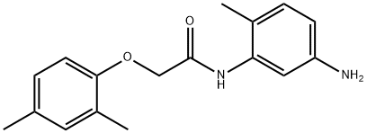 N-(5-Amino-2-methylphenyl)-2-(2,4-dimethylphenoxy)acetamide Struktur