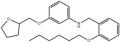 N-[2-(Hexyloxy)benzyl]-3-(tetrahydro-2-furanylmethoxy)aniline Struktur