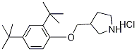 3-{[2,4-Di(tert-butyl)phenoxy]methyl}pyrrolidinehydrochloride Struktur