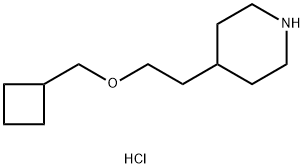 4-[2-(Cyclobutylmethoxy)ethyl]piperidinehydrochloride Struktur