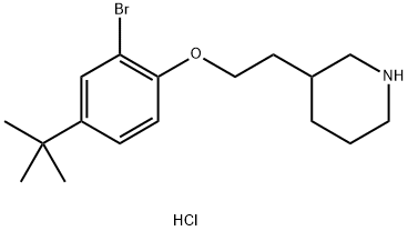 3-{2-[2-Bromo-4-(tert-butyl)phenoxy]-ethyl}piperidine hydrochloride Struktur