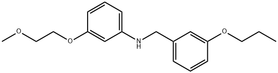 3-(2-Methoxyethoxy)-N-(3-propoxybenzyl)aniline Struktur