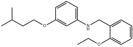 N-(2-Ethoxybenzyl)-3-(isopentyloxy)aniline Struktur