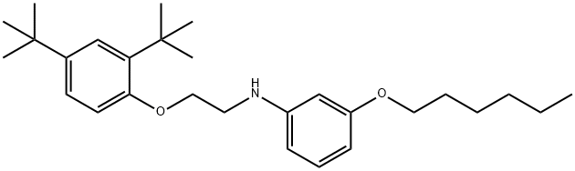 N-{2-[2,4-Di(tert-butyl)phenoxy]ethyl}-3-(hexyloxy)aniline Struktur