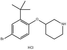 3-[4-Bromo-2-(tert-butyl)phenoxy]piperidinehydrochloride Struktur