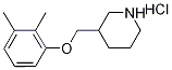 3-[(2,3-Dimethylphenoxy)methyl]piperidinehydrochloride Struktur