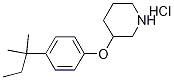 4-(tert-Pentyl)phenyl 3-piperidinyl etherhydrochloride Struktur