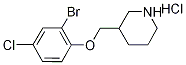 3-[(2-Bromo-4-chlorophenoxy)methyl]piperidinehydrochloride Struktur