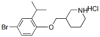 3-[(4-Bromo-2-isopropylphenoxy)methyl]piperidinehydrochloride Struktur