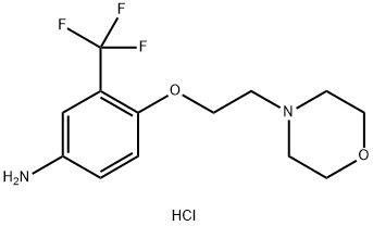 4-[2-(4-MORPHOLINYL)ETHOXY]-3-(TRIFLUOROMETHYL)-PHENYLAMINE DIHYDROCHLORIDE Struktur