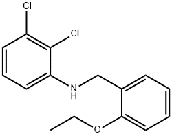 2,3-Dichloro-N-(2-ethoxybenzyl)aniline Struktur