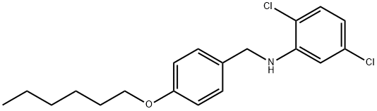 2,5-Dichloro-N-[4-(hexyloxy)benzyl]aniline Struktur