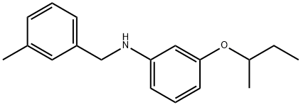 3-(sec-Butoxy)-N-(3-methylbenzyl)aniline Struktur