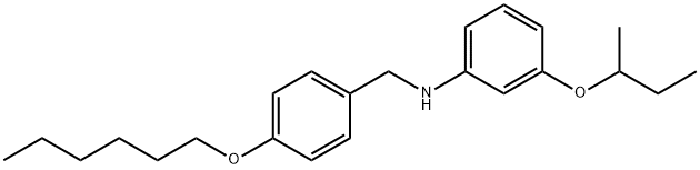 3-(sec-Butoxy)-N-[4-(hexyloxy)benzyl]aniline Struktur