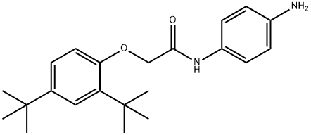 N-(4-Aminophenyl)-2-[2,4-di(tert-butyl)phenoxy]-acetamide Struktur