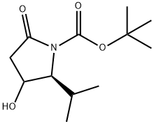 tert-Butyl (2S)-3-hydroxy-2-isopropyl-5-oxopyrrolidine-1-carboxylate Struktur