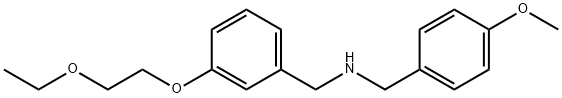 N-[3-(2-Ethoxyethoxy)benzyl](4-methoxyphenyl)-methanamine Struktur