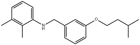 N-[3-(Isopentyloxy)benzyl]-2,3-dimethylaniline Struktur