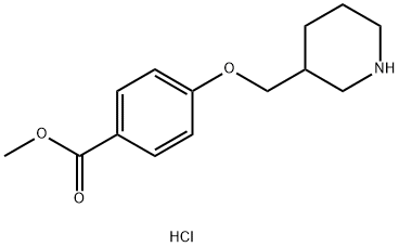 Methyl 4-(3-piperidinylmethoxy)benzoatehydrochloride Struktur