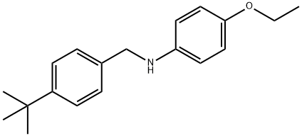 N-[4-(tert-Butyl)benzyl]-4-ethoxyaniline Struktur