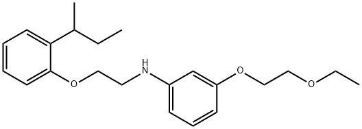 N-{2-[2-(sec-Butyl)phenoxy]ethyl}-3-(2-ethoxyethoxy)aniline Struktur